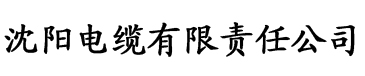 92香蕉视频污电缆厂logo